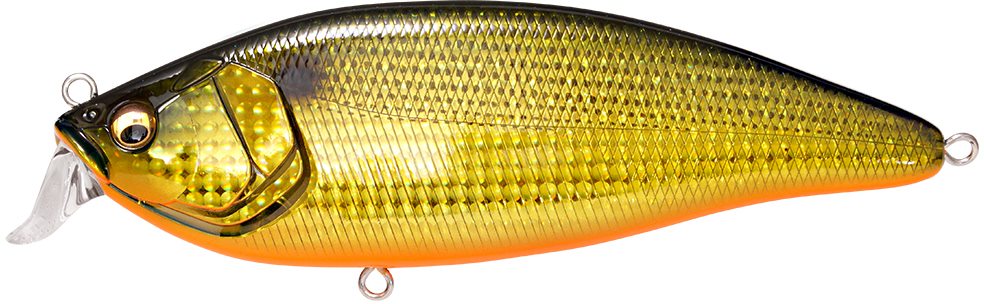 KONOSIRUS SHAD F GG GOLD KONOSHIRO