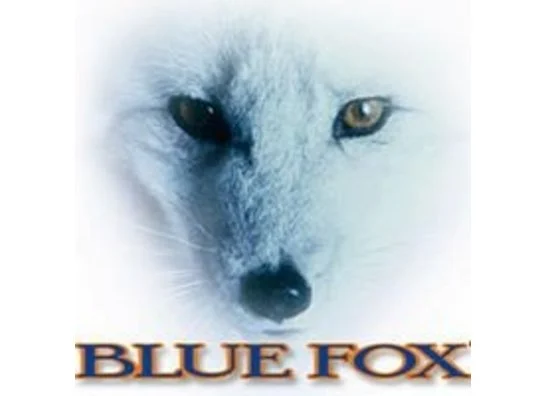 BLUE FOX