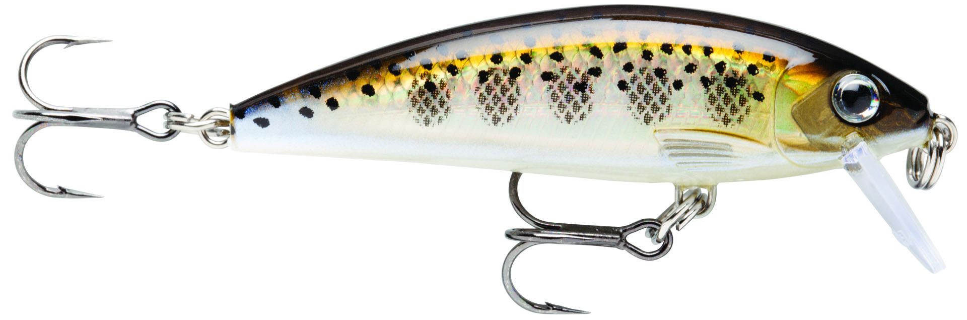 LEURRE DUR RAPALA X-RAP COUNTDOWN 07