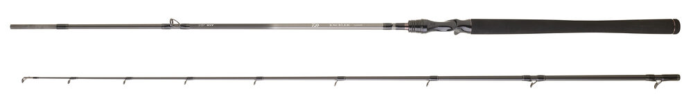 CANNE CASTING DAIWA EXCELER 2025 – Image 6